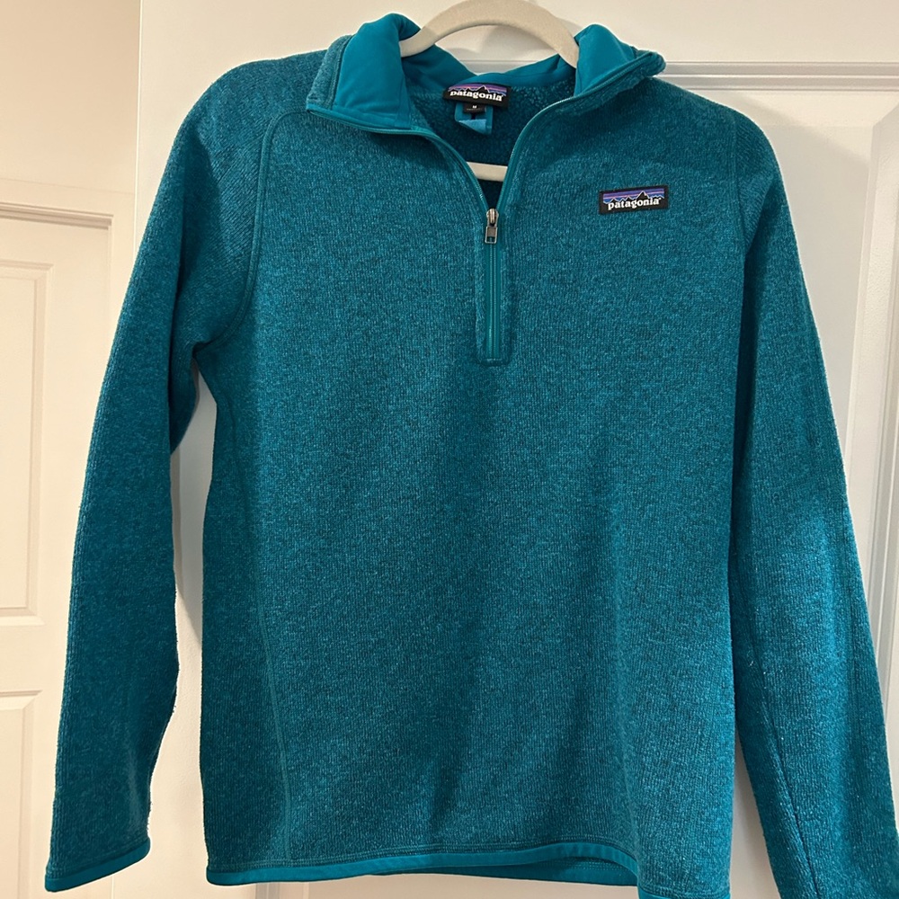 Patagonia Blue Quarter-Zip Fleece